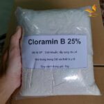 Cloramin dạng bột 25%, hóa chất sát khuẩn, chất khử trùng, tẩy rong rêu