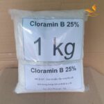 Cloramin dạng bột 25%, hóa chất sát khuẩn, chất khử trùng, tẩy rong rêu